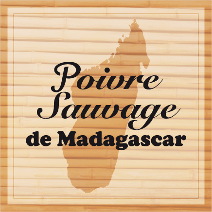 Poivre sauvage de Madagascar